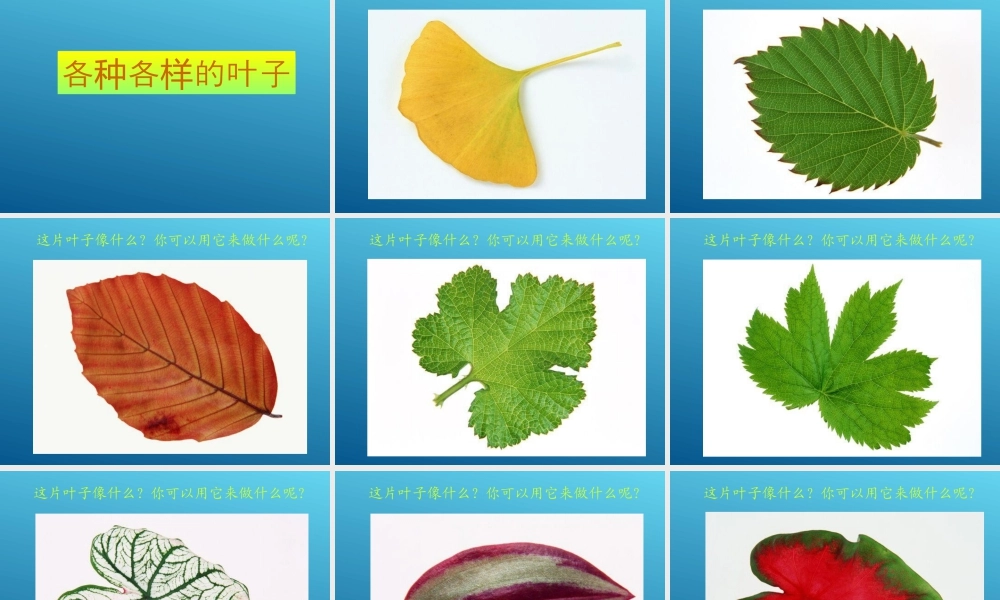 第11课 拓印树叶真有趣 课件 (4)-人美版小学美术三年级上册.ppt