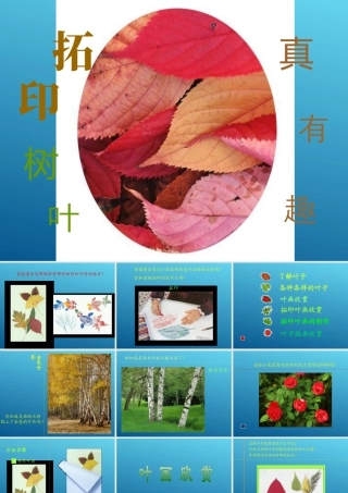 第11课 拓印树叶真有趣 课件 (4)-人美版小学美术三年级上册.ppt