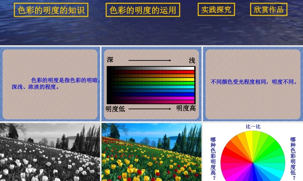 第11课：色彩的明度 课件-人美版小学美术五年级上册.ppt