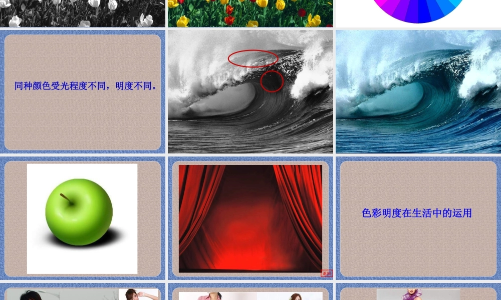 第11课：色彩的明度 课件-人美版小学美术五年级上册.ppt