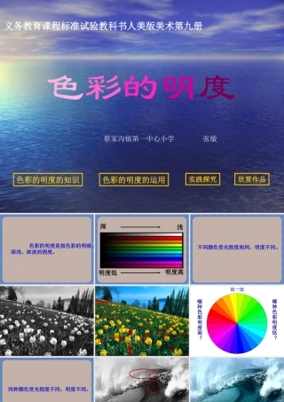 第11课：色彩的明度 课件-人美版小学美术五年级上册.ppt
