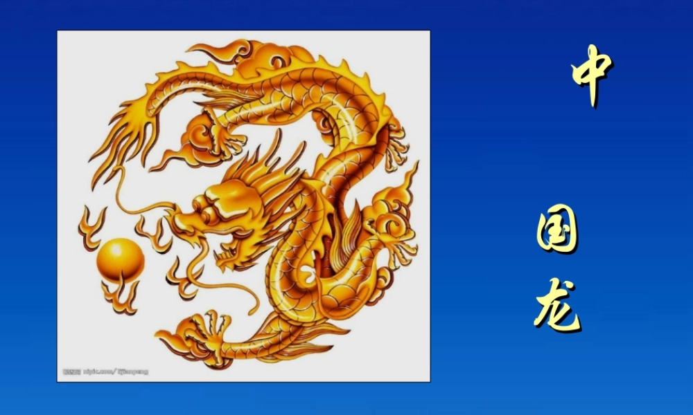 第14课 中国龙 课件 人美版 (4)-人美版小学美术五年级上册.ppt