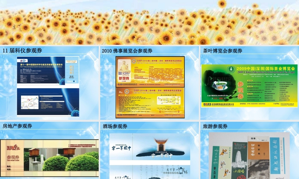 各类参观券欣赏-人美版小学六年级上册.ppt