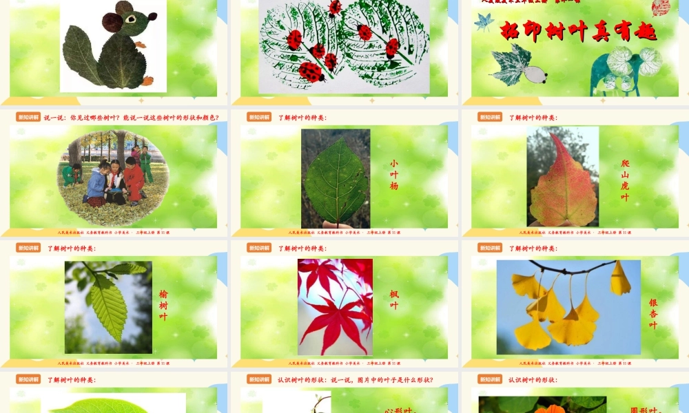 人美版 美术 三年级上册 第十一课《拓印树叶真有趣》课件.ppt