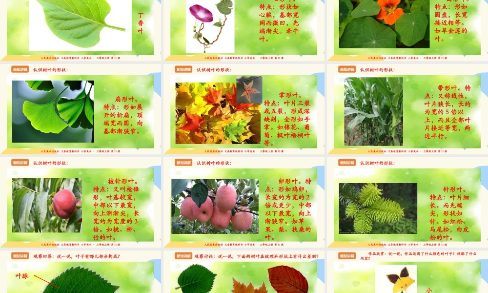 人美版 美术 三年级上册 第十一课《拓印树叶真有趣》课件.ppt