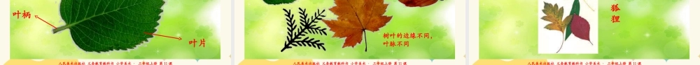 人美版 美术 三年级上册 第十一课《拓印树叶真有趣》课件.ppt