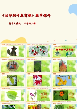人美版 美术 三年级上册 第十一课《拓印树叶真有趣》课件.ppt