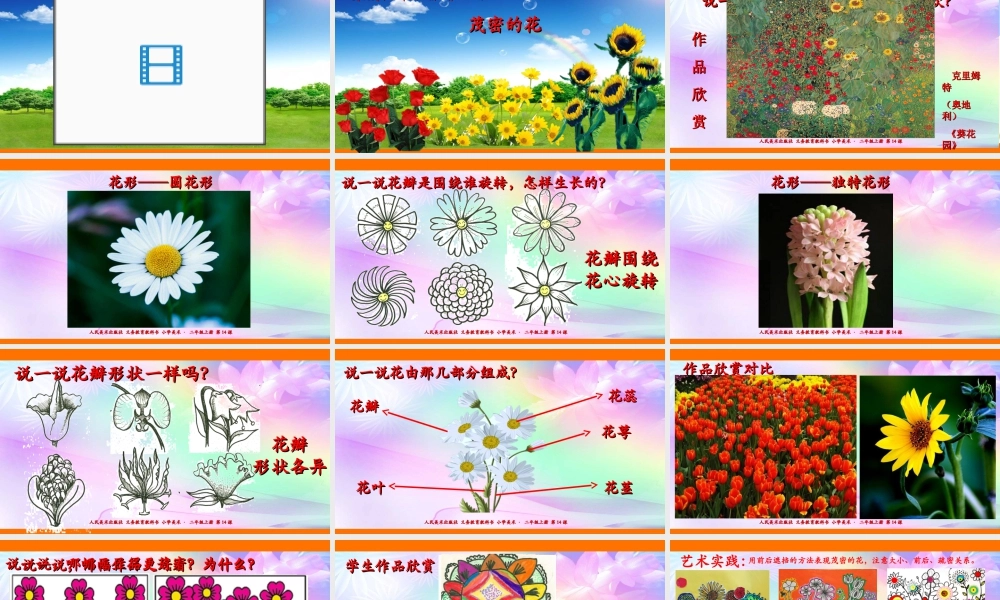 人美版美术二年级上册第十四课《茂密的花》课件.ppt