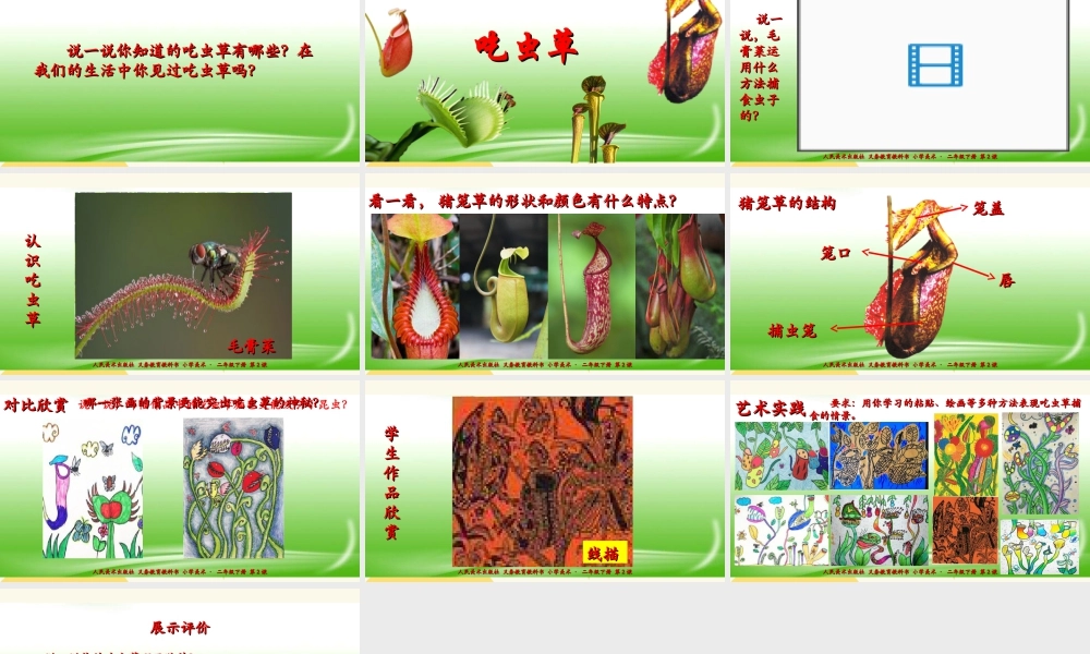 人美版美术二年级下册第二课《吃虫草》课件.ppt