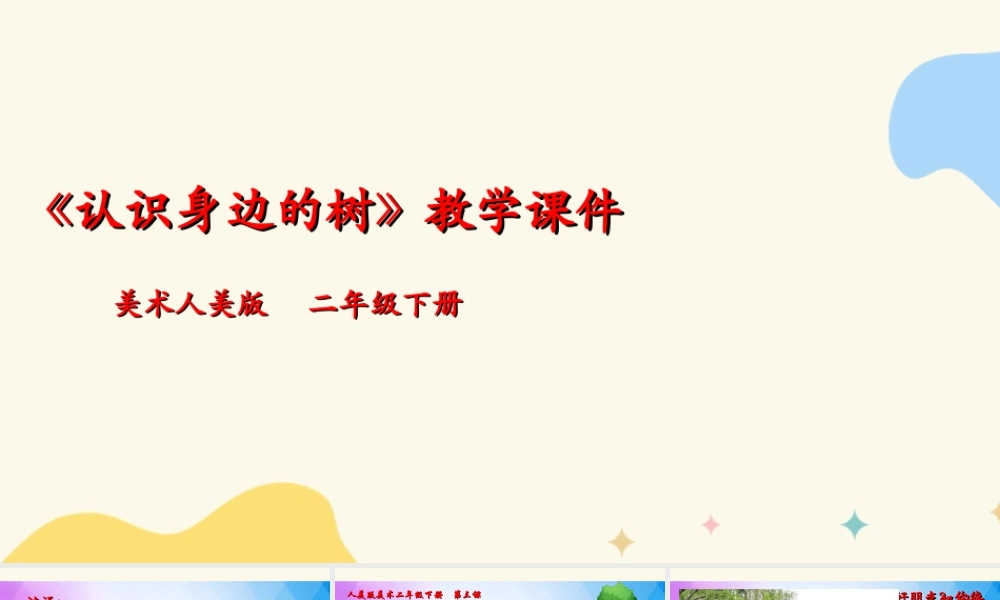 人美版美术二年级下册第三课《认识身边的树》课件.ppt