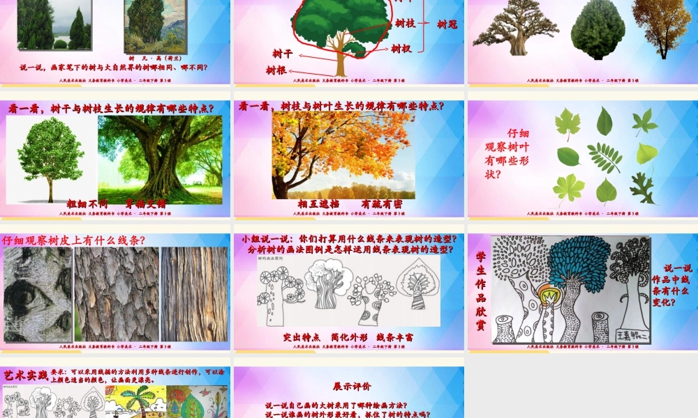 人美版美术二年级下册第三课《认识身边的树》课件.ppt