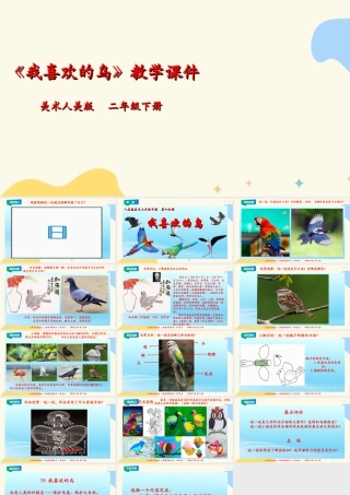 人美版美术二年级下册第十九课《我喜欢的鸟》课件.ppt