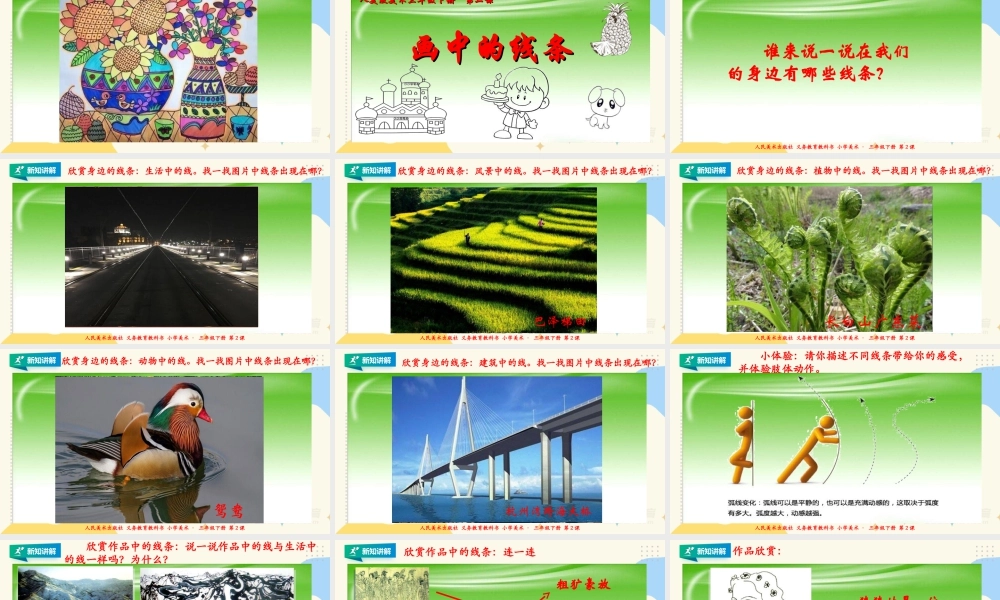 人美版美术三年级下册第二课《画中的线条》课件.ppt