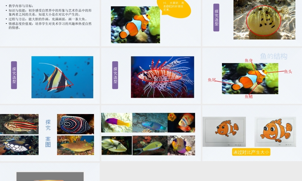 人美版美术一年级上册-第17课 谁画的鱼最大（课件）.pptx