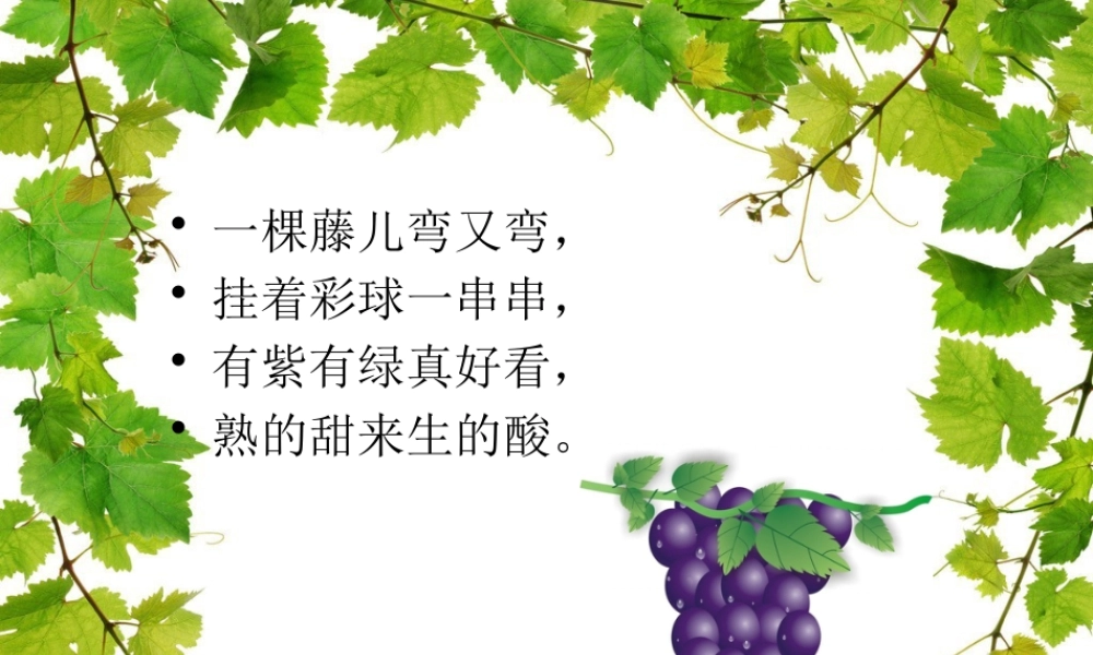 人美版美术一年级上册-第19课 大丰收（课件） .pptx