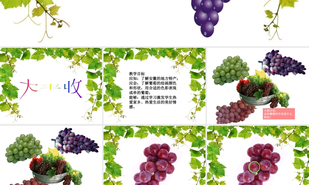 人美版美术一年级上册-第19课 大丰收（课件） .pptx