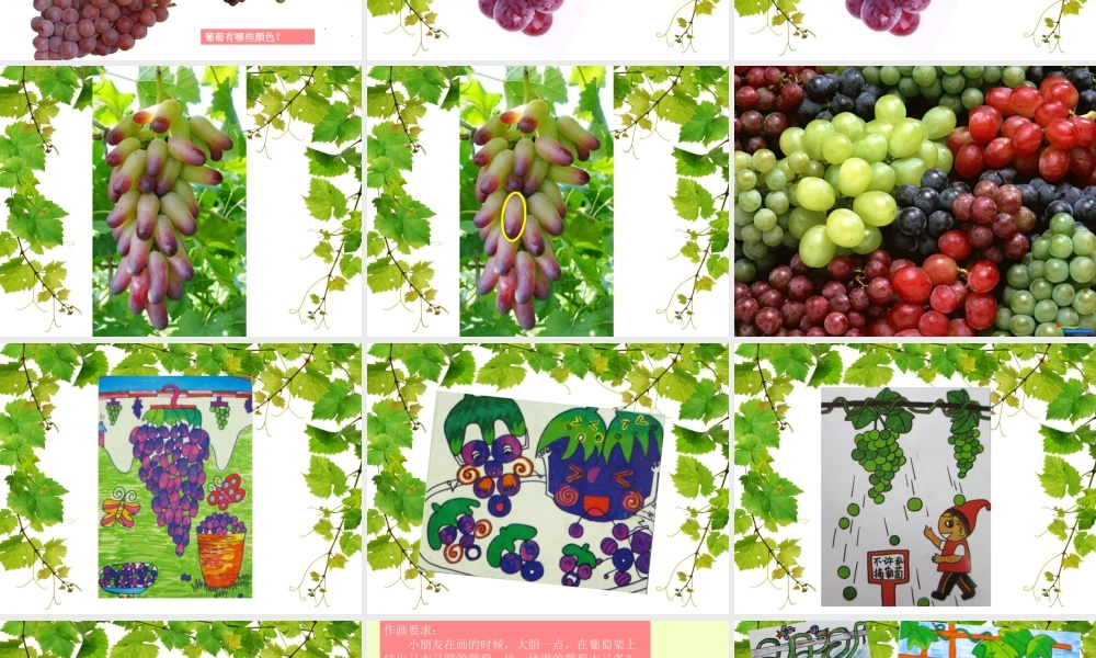 人美版美术一年级上册-第19课 大丰收（课件） .pptx