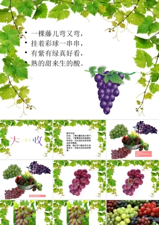 人美版美术一年级上册-第19课 大丰收（课件） .pptx