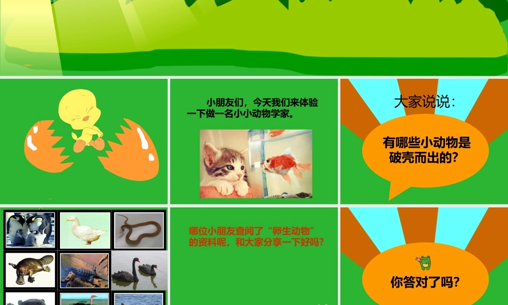 人美版美术一年级下册-《出壳了》课件2.ppt