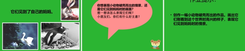 人美版美术一年级下册-《出壳了》课件2.ppt