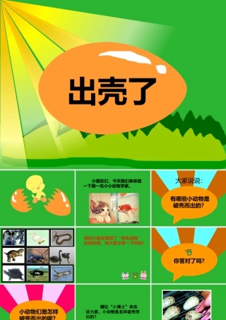 人美版美术一年级下册-《出壳了》课件2.ppt