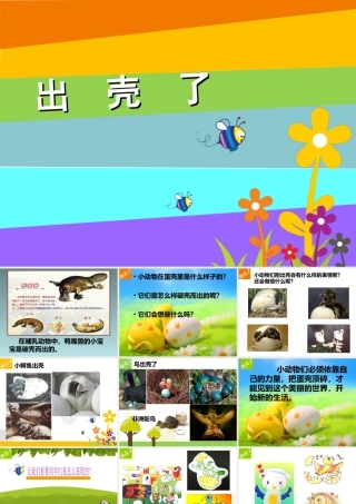 人美版美术一年级下册-《出壳了》课件3.ppt
