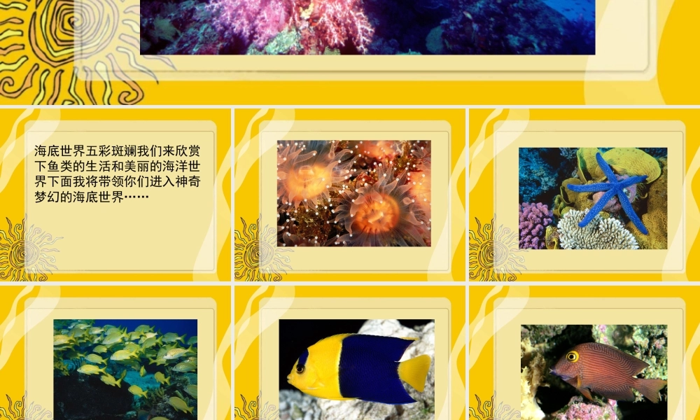 人美版美术一年级下册-《钓鱼》课件1.ppt