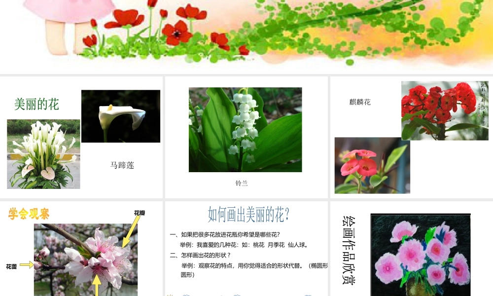 人美版美术一年级下册-《花的世界》课件1.ppt