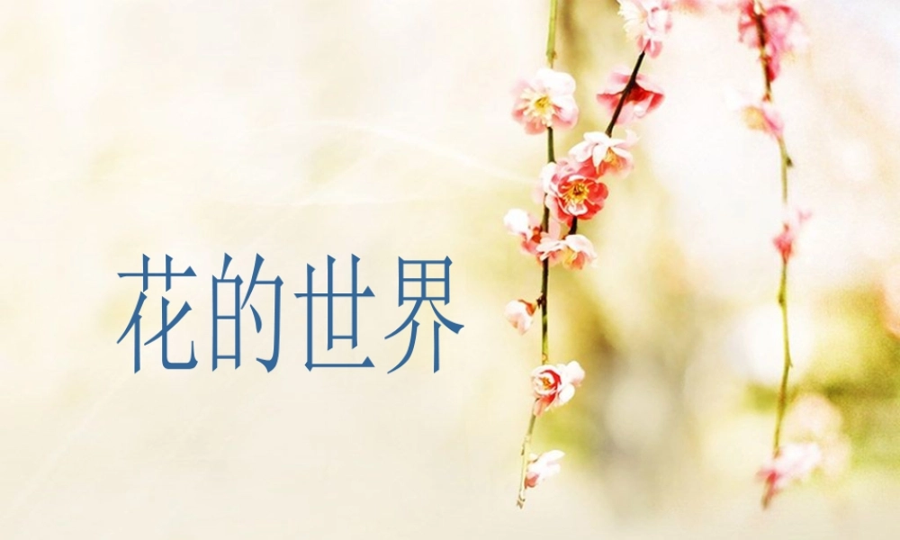 人美版美术一年级下册-《花的世界》课件2.ppt