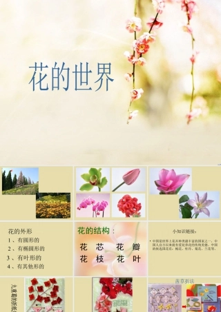 人美版美术一年级下册-《花的世界》课件2.ppt