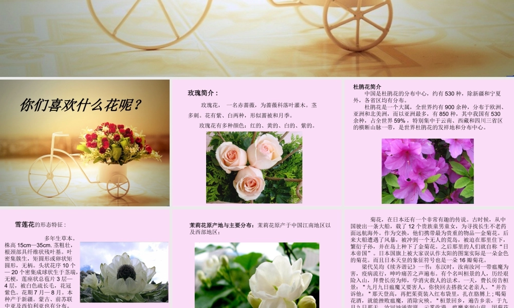 人美版美术一年级下册-《花的世界》课件3.ppt