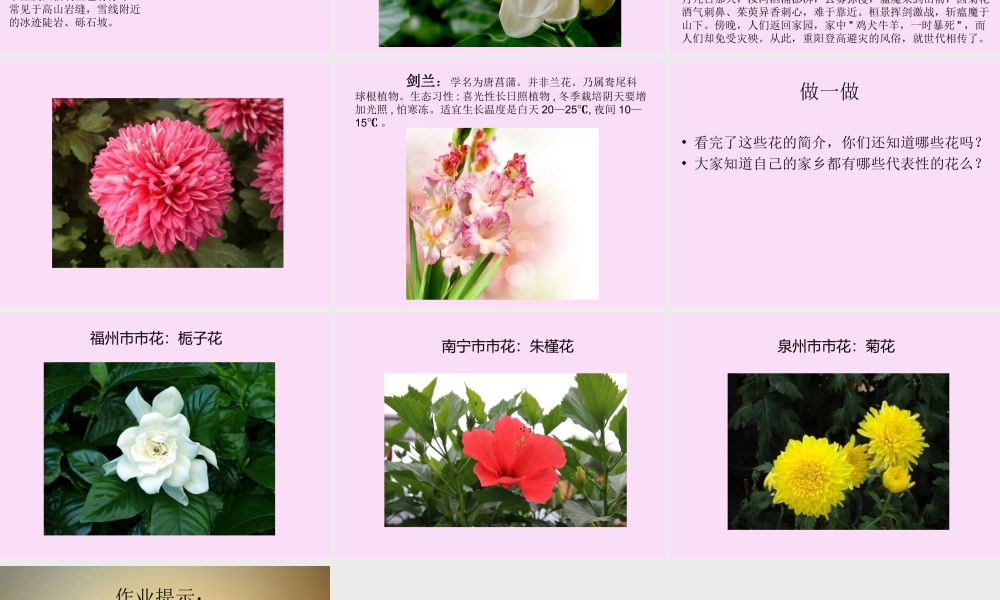 人美版美术一年级下册-《花的世界》课件3.ppt