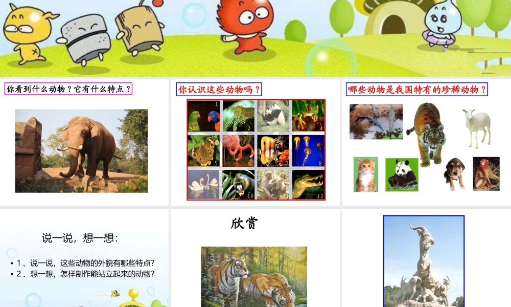 人美版美术一年级下册-《可爱的动物》课件1.ppt