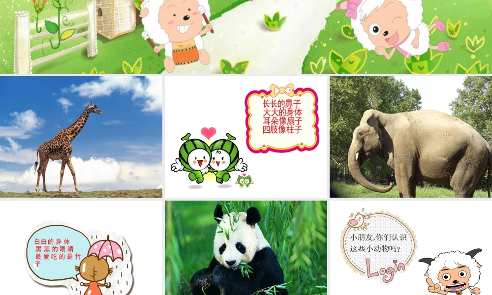 人美版美术一年级下册-《可爱的动物》课件2.ppt