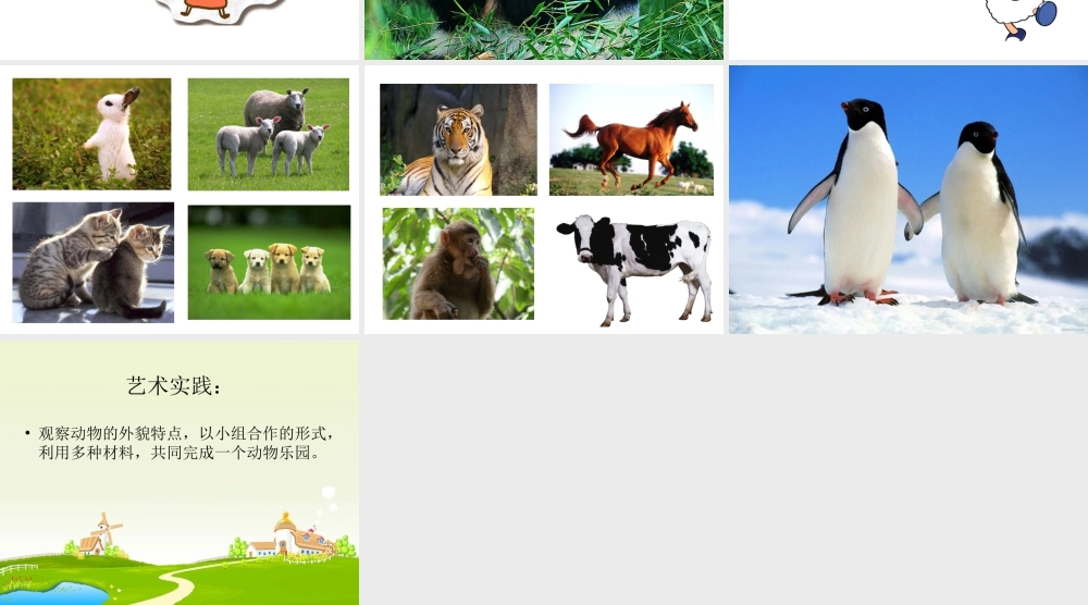 人美版美术一年级下册-《可爱的动物》课件2.ppt