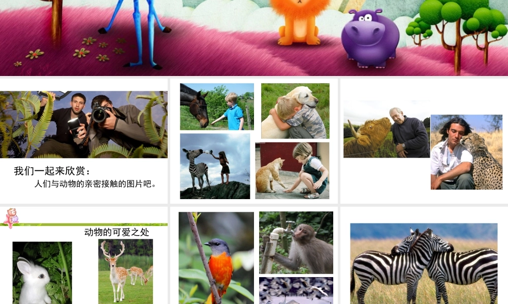 人美版美术一年级下册-《可爱的动物》课件3.ppt
