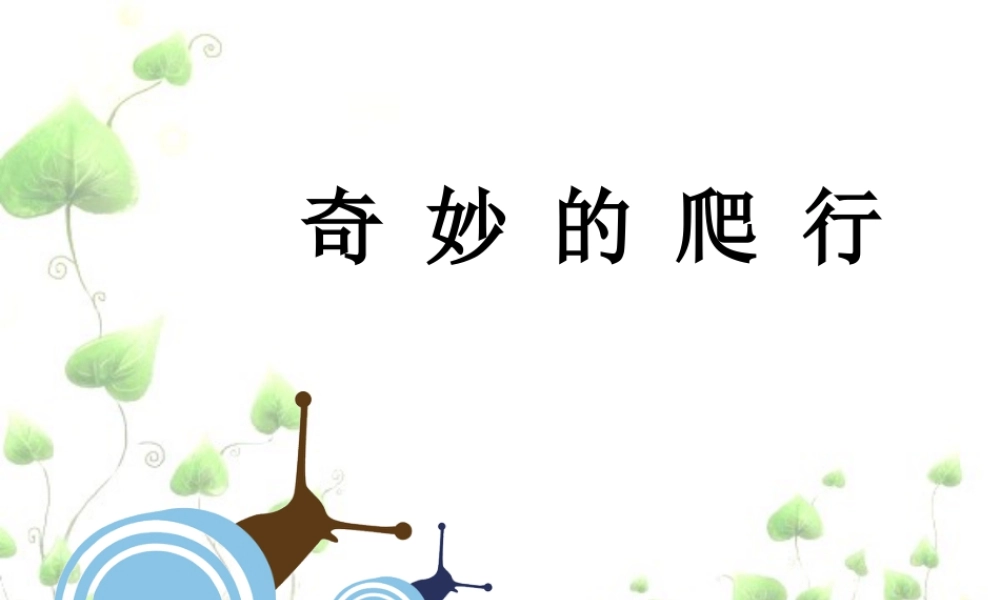 人美版美术一年级下册-《奇妙的爬行》课件2.ppt