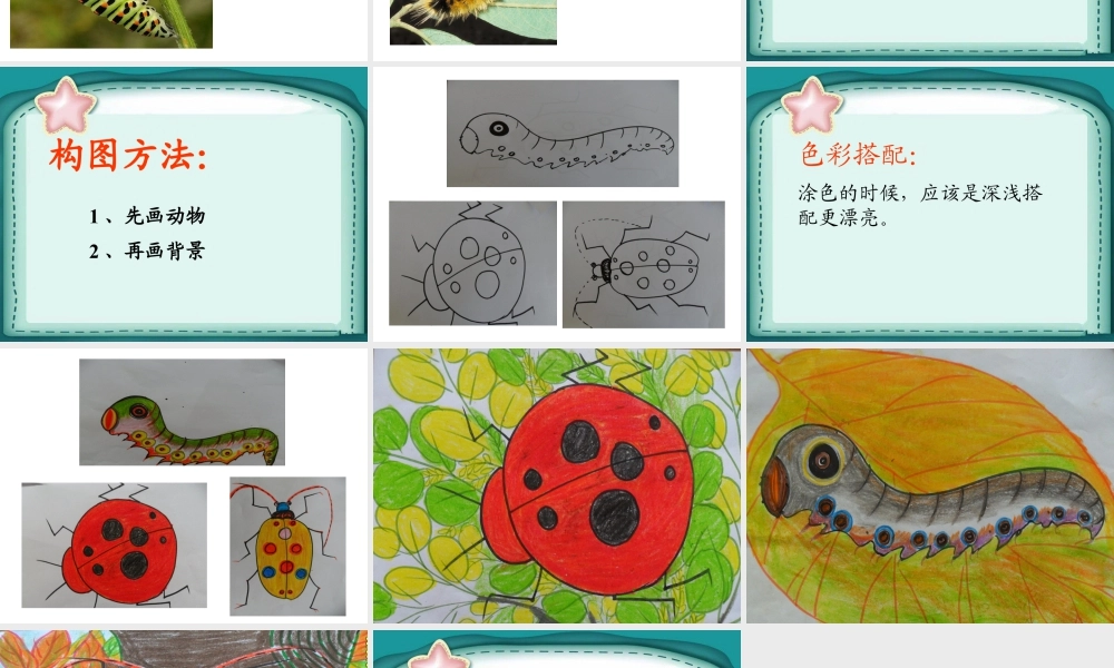 人美版美术一年级下册-《奇妙的爬行》课件3.ppt