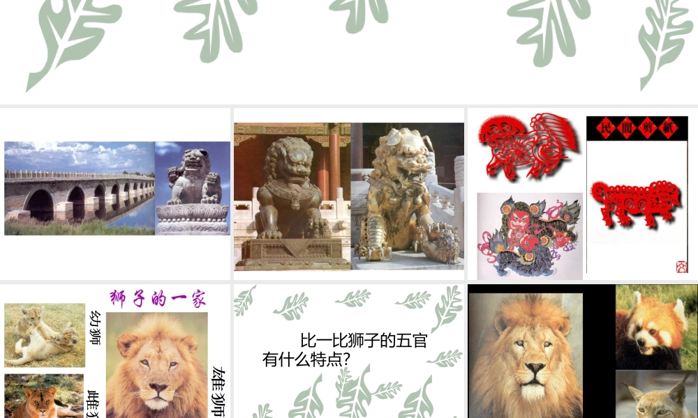 人美版美术一年级下册-《狮子大王》课件1.ppt