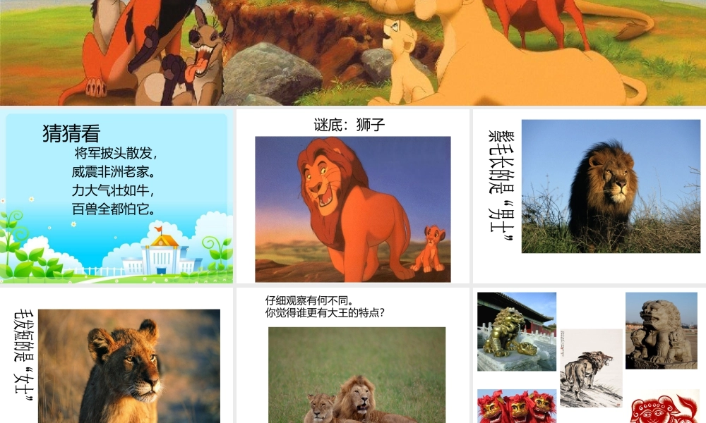 人美版美术一年级下册-《狮子大王》课件3.ppt