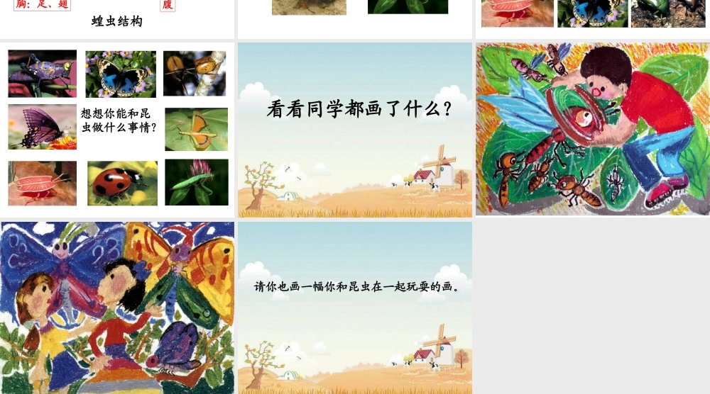 人美版美术一年级下册-《我和昆虫》课件1.ppt