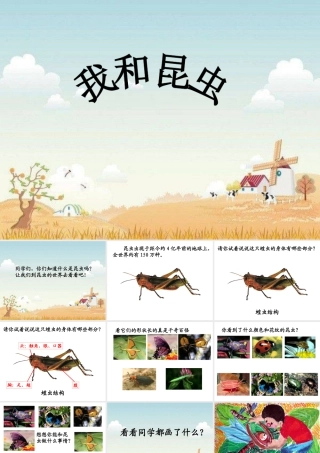 人美版美术一年级下册-《我和昆虫》课件1.ppt