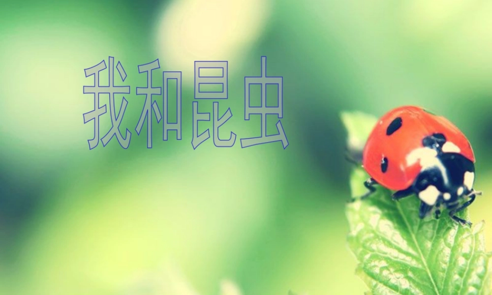 人美版美术一年级下册-《我和昆虫》课件2.ppt