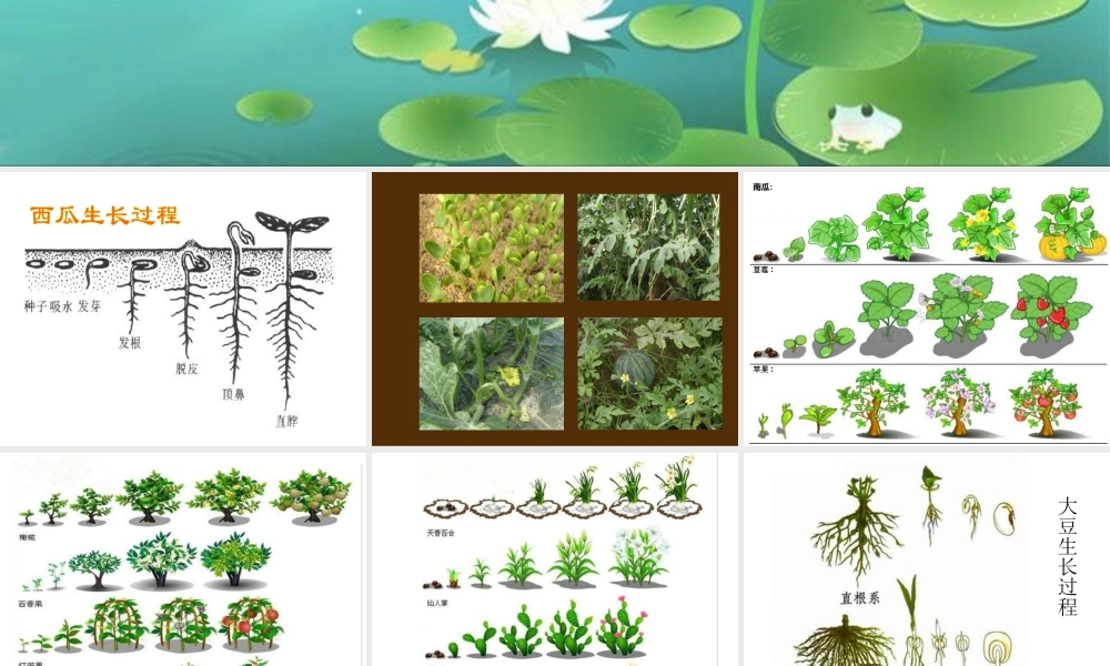 人美版美术一年级下册-《长呀长》课件1.ppt