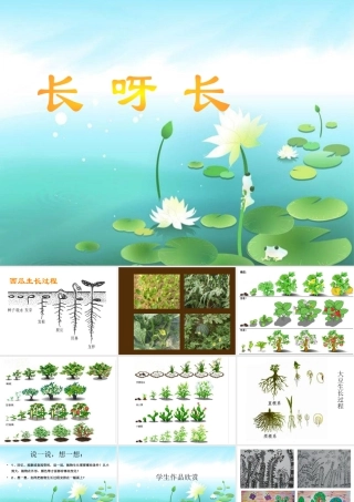 人美版美术一年级下册-《长呀长》课件1.ppt