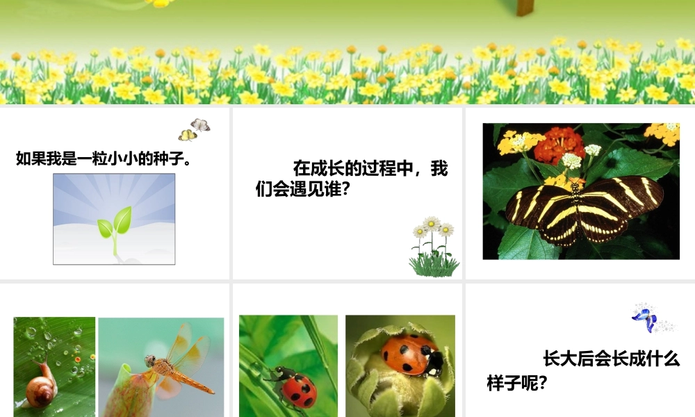 人美版美术一年级下册-《长呀长》课件2.ppt