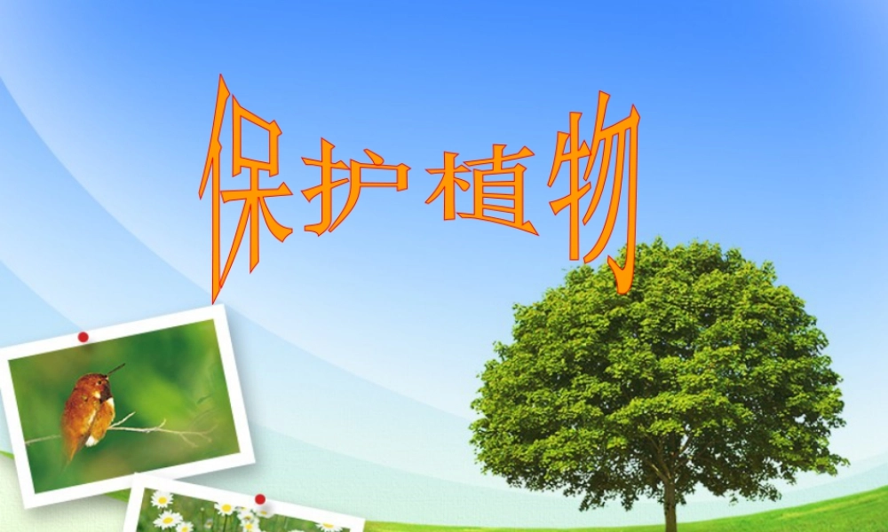 人美版美术一年级下册-保护植物.ppt