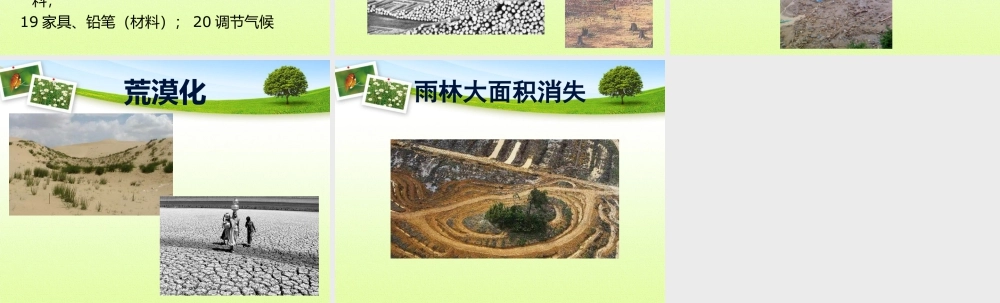 人美版美术一年级下册-保护植物.ppt