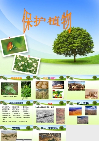 人美版美术一年级下册-保护植物.ppt