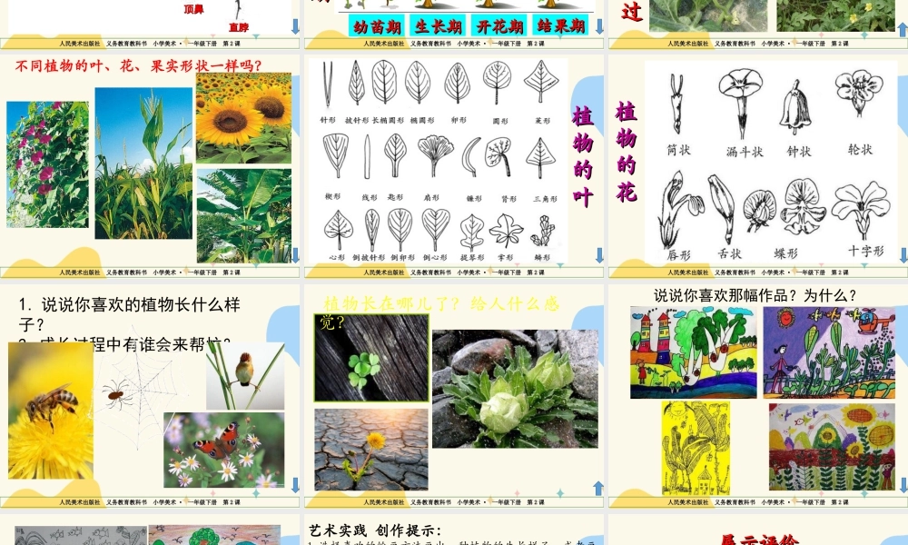 人美版美术一年级下册第二课长呀长课件.ppt